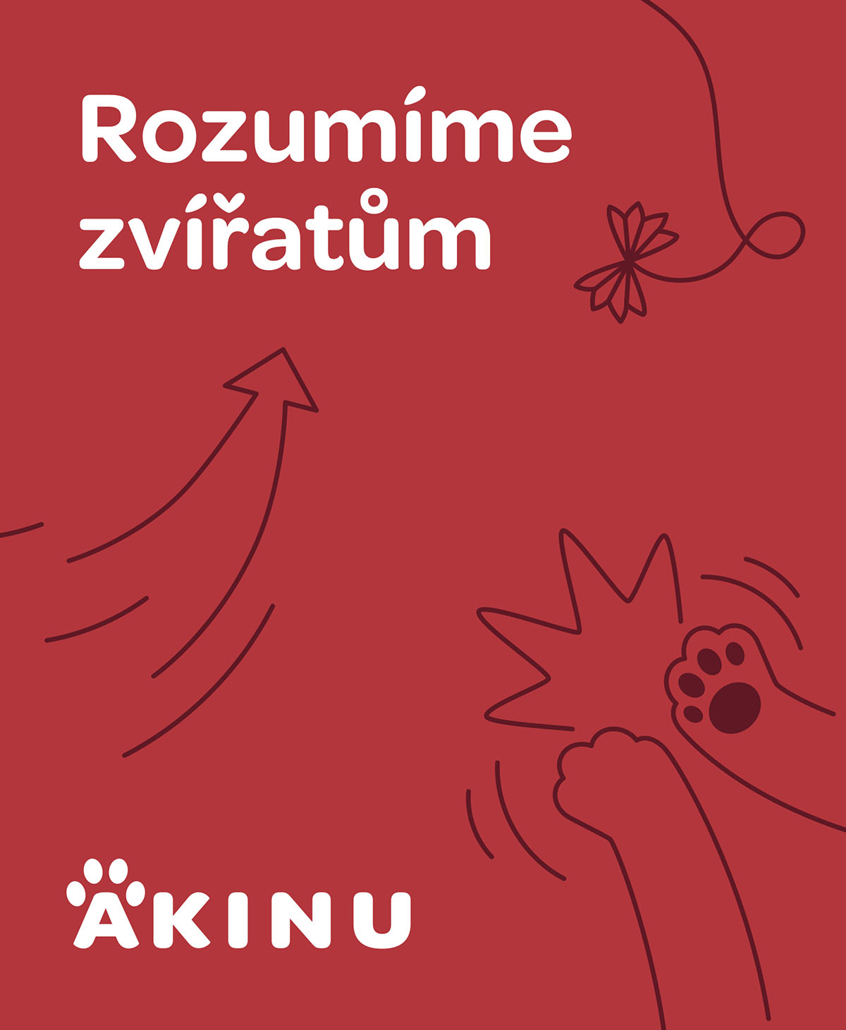 Akinu design frame showcase with illustrations, typography and logo