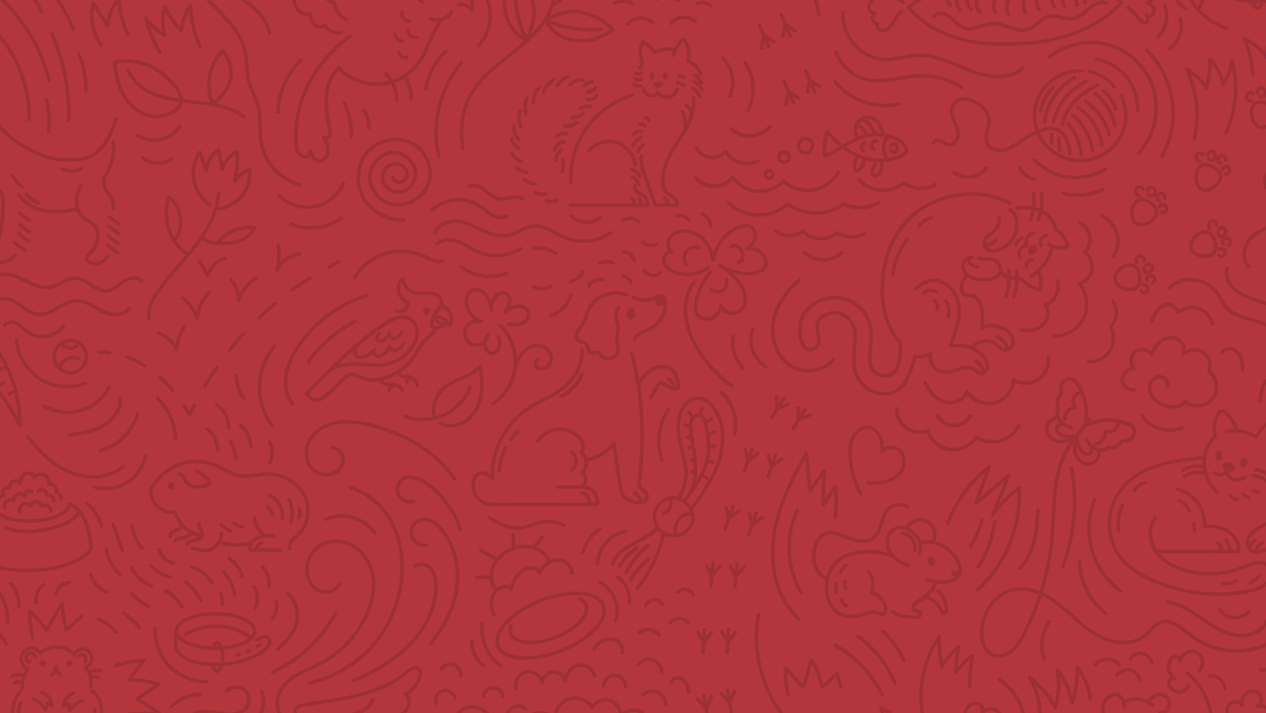 Akinu pattern detailed showcase on red background, landscape